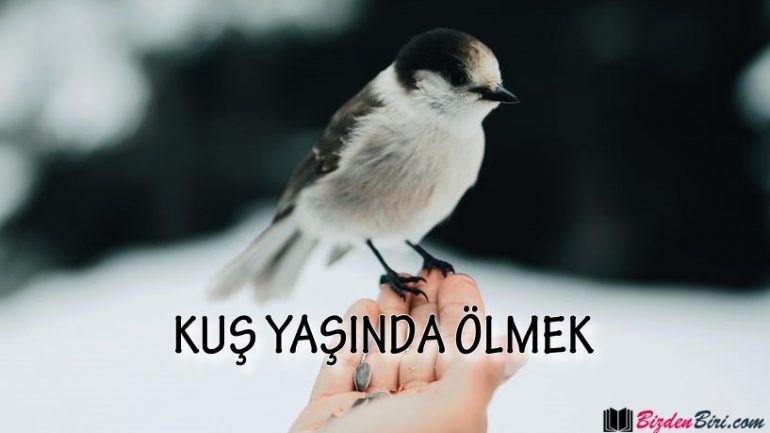 KUŞ YAŞINDA ÖLMEK