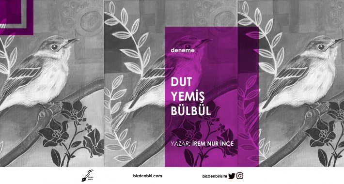 Dut Yemiş Bülbül